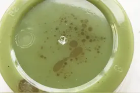 这三种食材做的止痒膏成本一盒2元，太好用，夏天不怕蚊子叮了图片