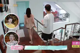 郑爽张恒的“爱情买卖”和商业纠缠图片