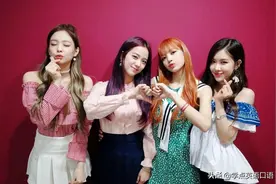 韩国女团BLACKPINK违规接触大熊猫引争议，网友热议不断图片