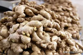 储存姜母，方法新，又赚钱又轻松，投资10万，3个月赚20万图片