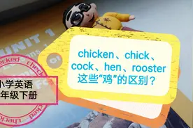 【chicken,chick,cock,hen,rooster这些鸡的区别？】三年级下册图片