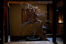 日本那些隐秘的旅馆，朴素静谧图片