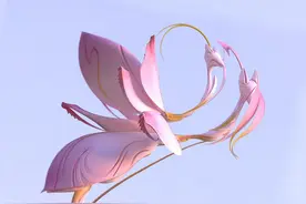 精美的兰花螳螂手作饰品图片