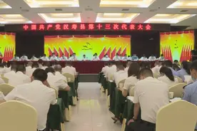 汉寿县第十三次党代会：未来五年打造五个百亿产业图片