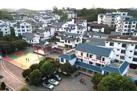 开足马力求突破 乘势而上正当时——良庆区那马镇多点发力实现首季“开门红”图片