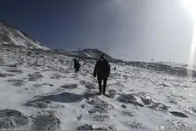 雪夜救援：札达县成功救援一名被风雪围困人员图片