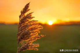 腹部受凉“肚子痛”该怎么办？图片