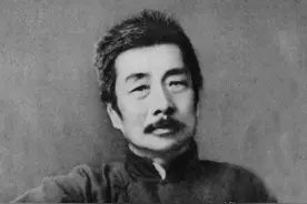 鲁迅“一株是枣树，另一株也是枣树”是病句？韩寒：我们没资格定图片
