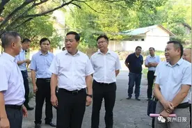 贺州市市长彭代元到八步区开展重点项目调研图片