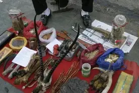 揭秘江湖骗局！真虎骨到底长什么样？地摊上假虎骨是怎么制成的？图片