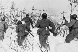 志愿军战士惊奇发现：雪地竟有苍蝇、跳蚤等昆虫，原为美军捣鬼图片
