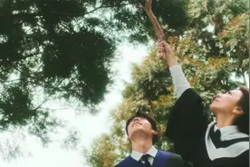 《来我怀里躲躲》：欢喜冤家的校园小甜文，他们的青春特别明媚图片