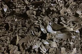 分享一套专攻大草鱼的窝料配方，诱鱼效果强留鱼还持久图片