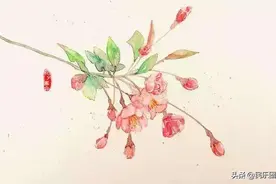当诗歌遇见古筝：临江仙 · 清明前一日种海棠图片