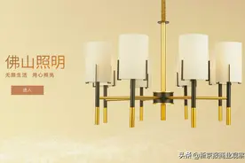 佛山照明2020年营收、净利润双增长，将持续加大研发投入图片