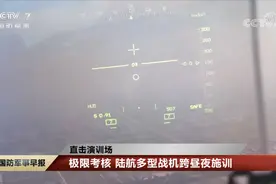 武直-10平显（HUD）显示界面罕见曝光 简洁直观、功能强悍图片