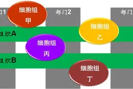 拼多多人事大调整，合伙人机制优势凸显，值得中小企业学习图片