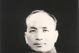 太极拳高手褚民谊被枪毙时，为什么做了个“白鹤亮翅”的招式图片