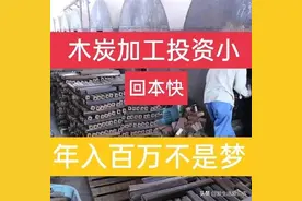 木炭加工厂年入几十万是如何做到的？这里有答案！图片