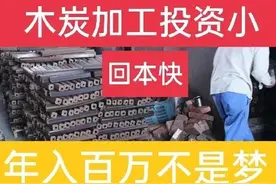 木炭加工厂年入几十万是如何做到的？这里有答案！图片