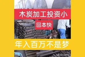 木炭加工厂年入几十万是如何做到的？这里有答案！图片