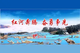 黑泥地变“黄金地”！弥勒万亩莲藕“淘”出亿元财富图片