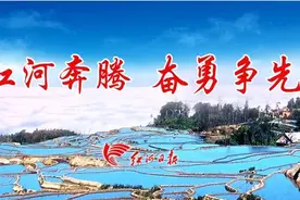 黑泥地变“黄金地”！弥勒万亩莲藕“淘”出亿元财富图片