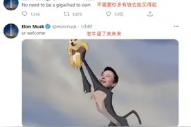 狗币涨112倍，屎币涨28万倍，这世界真魔幻图片