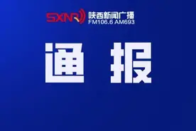 表彰！陕西省人民政府办公厅最新通报图片