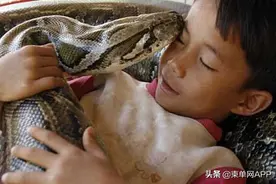 柬埔寨养宠物有多贵：一个月至少要花200多美元图片