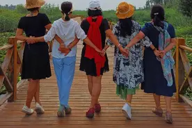 再不疯狂就老了图片