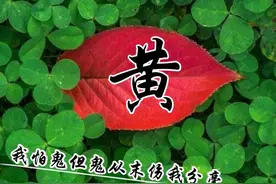 我怕鬼，但鬼从末伤我分毫。 我不怕人，但人从末放过我。图片