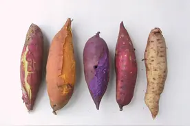 红薯又出新吃法啦！不烤不蒸不油炸，香甜蓬松，出锅比肉还香图片