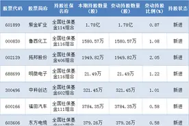 社保基金新进重仓股曝光！现身10股前十大流通股东榜（附名单）图片