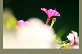 精品美图：往事如烟图片