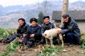 农村俗语的四大硬、四大软、四大红、四大绿，分别指的是啥东西？图片