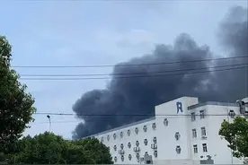 嘉善棉花厂发生火灾事故！再生海绵有何特点？为何施救难度这么大图片