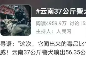 被人民日报点名，还拥有自己的百度百科，这头警犬不一般图片