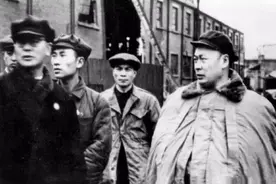 李白被害陈毅下令追捕真凶！杨帆剥丝抽茧，雌雄双恶再狡猾也没用图片