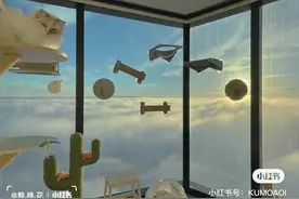 “猫咪住进60层顶楼”被刷爆，网友：救命！美疯了图片