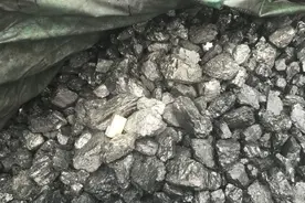 百米厚的煤层是如何形成的？远古时期有那么多的植物吗？图片