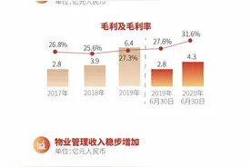 一图看懂金科服务IPO图片