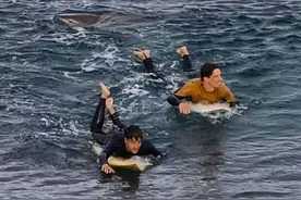 法游客在澳冲浪遭鲨鱼袭击，逃生画面曝光，猛击其两拳称想再下水图片