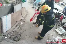 十堰工地发现一对“雌雄双蛇”，消防员被一口咬住...图片