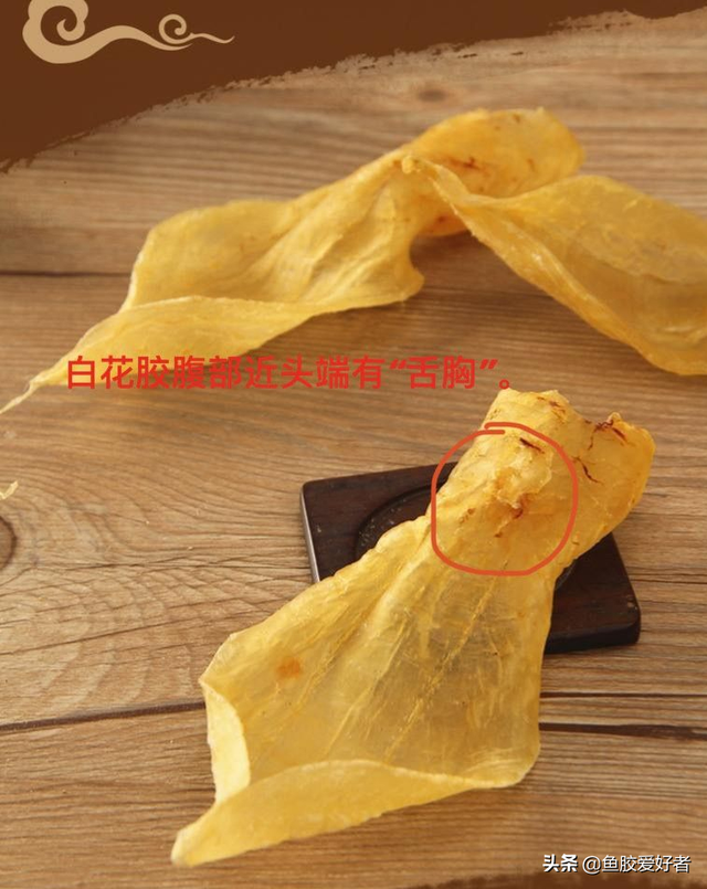 白花胶与黄花胶的区别 2026年白花胶与黄花胶的区别图片
