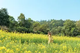 美极了！这幅莆田的金色“油画”，在向你召唤！图片