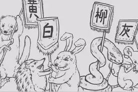 “蛇进家门不能打”这是为什么？快来看看，省得后悔图片