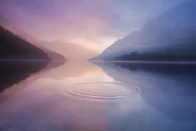 宽容，是谅解也是超越图片