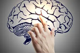 青少年精神病（精神分裂症）康复的6个基础条件和8个主要过程图片