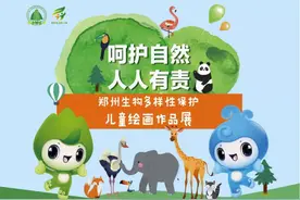 郑州生物多样性保护儿童绘画作品展示⑤图片